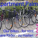 Apartman Palmie Roth