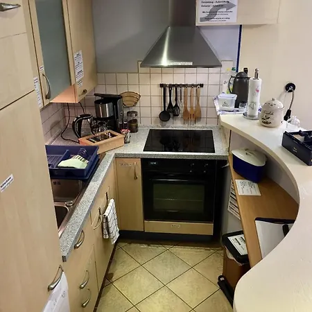 Palmie * Roth (Bavaria)